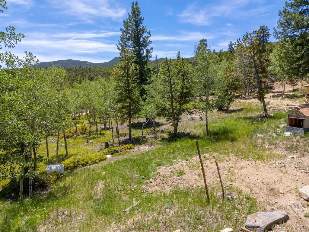 719 Miners Candle Road Idaho Springs CO 80452