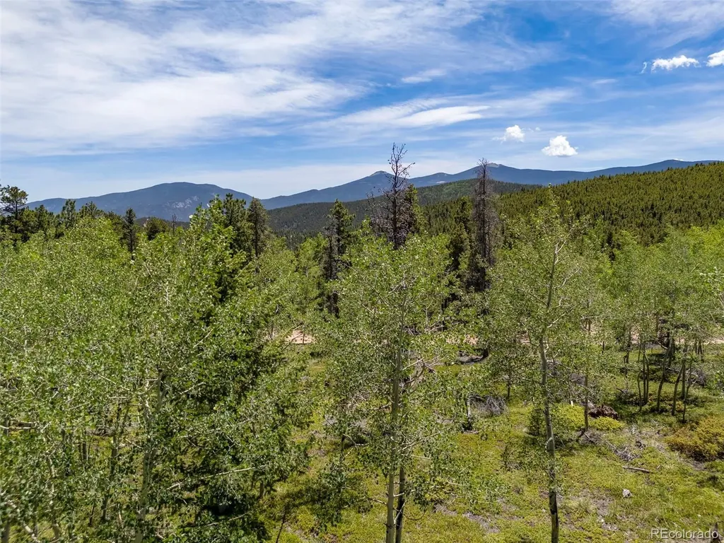 719 Miners Candle Road Idaho Springs CO 80452
