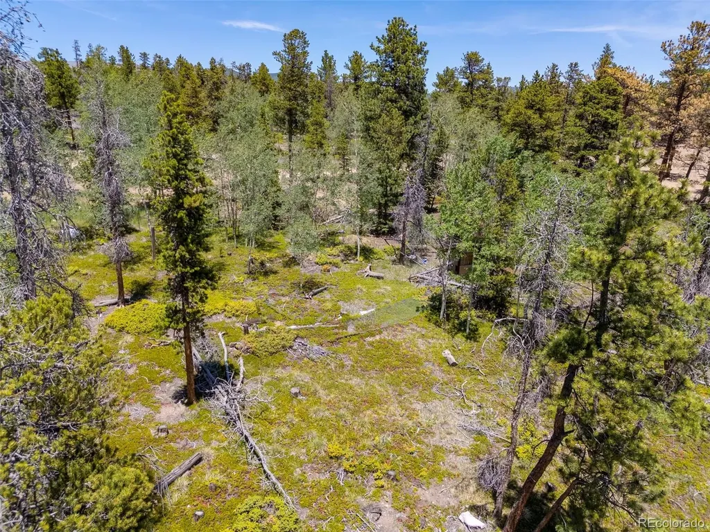 719 Miners Candle Road Idaho Springs CO 80452