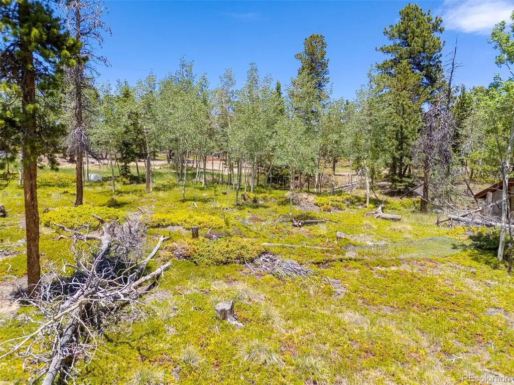719 Miners Candle Road Idaho Springs CO 80452