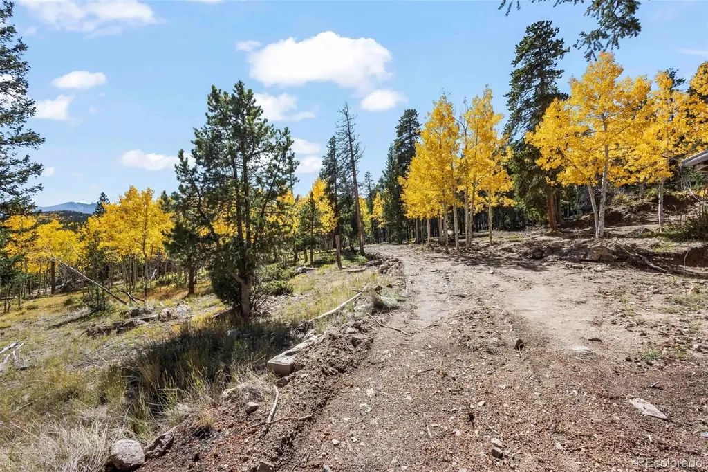 719 Miners Candle Road Idaho Springs CO 80452