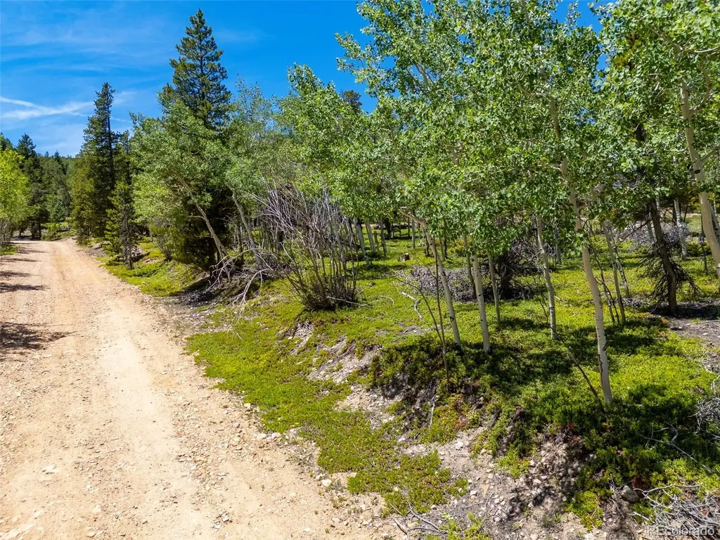 719 Miners Candle Road Idaho Springs CO 80452