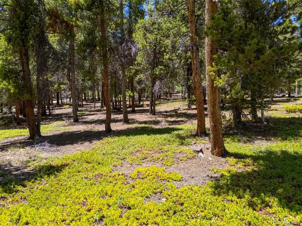 719 Miners Candle Road Idaho Springs CO 80452