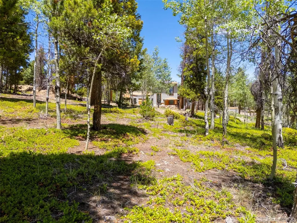 719 Miners Candle Road Idaho Springs CO 80452