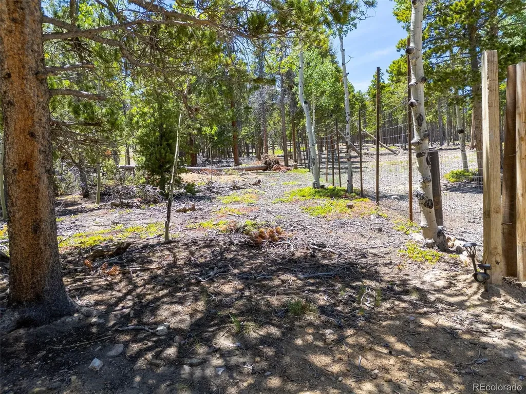 719 Miners Candle Road Idaho Springs CO 80452