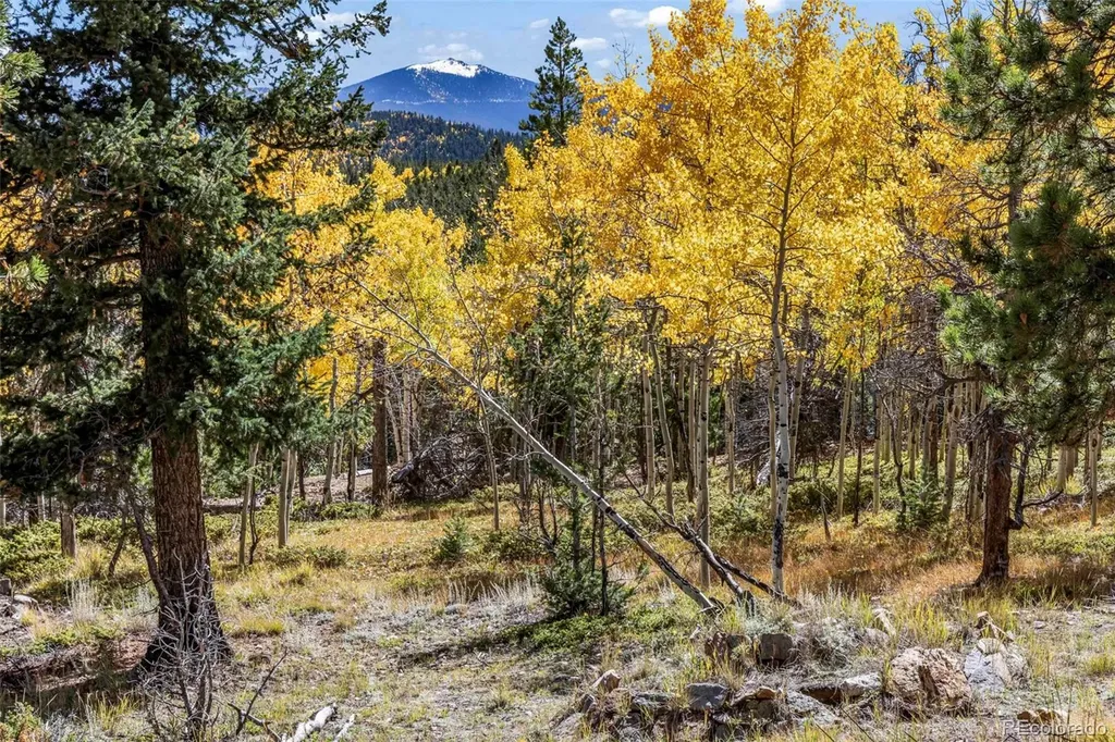 719 Miners Candle Road Idaho Springs CO 80452