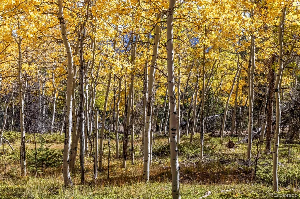 719 Miners Candle Road Idaho Springs CO 80452
