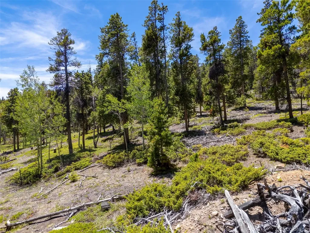 719 Miners Candle Road Idaho Springs CO 80452