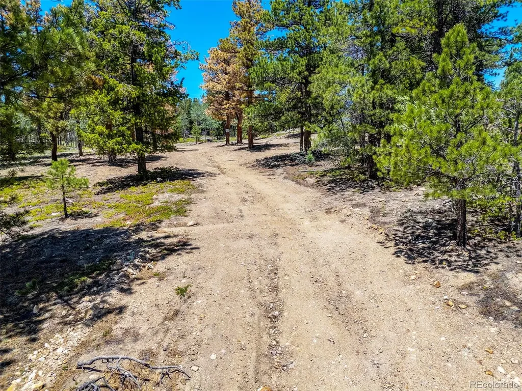 719 Miners Candle Road Idaho Springs CO 80452