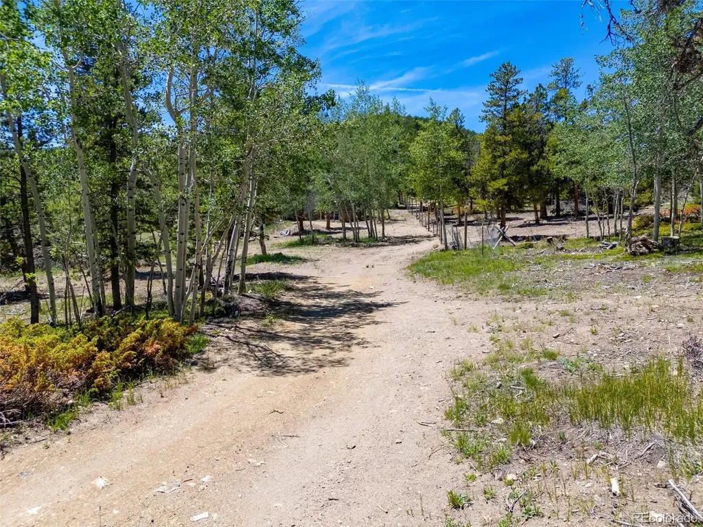 719 Miners Candle Road Idaho Springs CO 80452