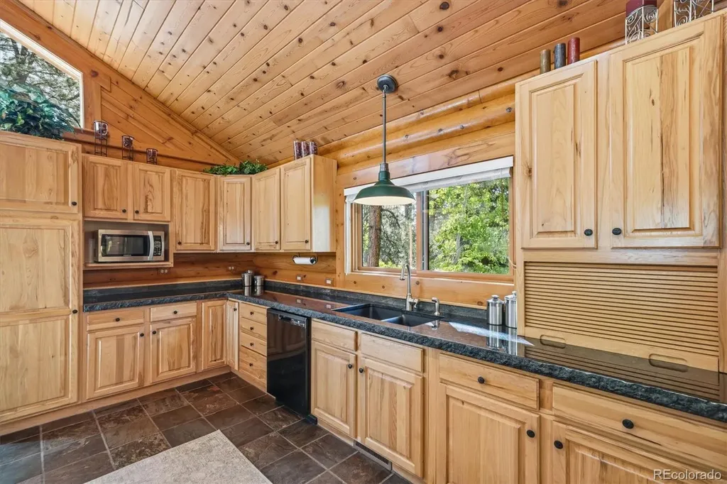 21466 Indian Springs Road Conifer CO 80433