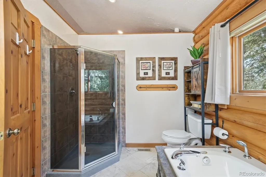 21466 Indian Springs Road Conifer CO 80433