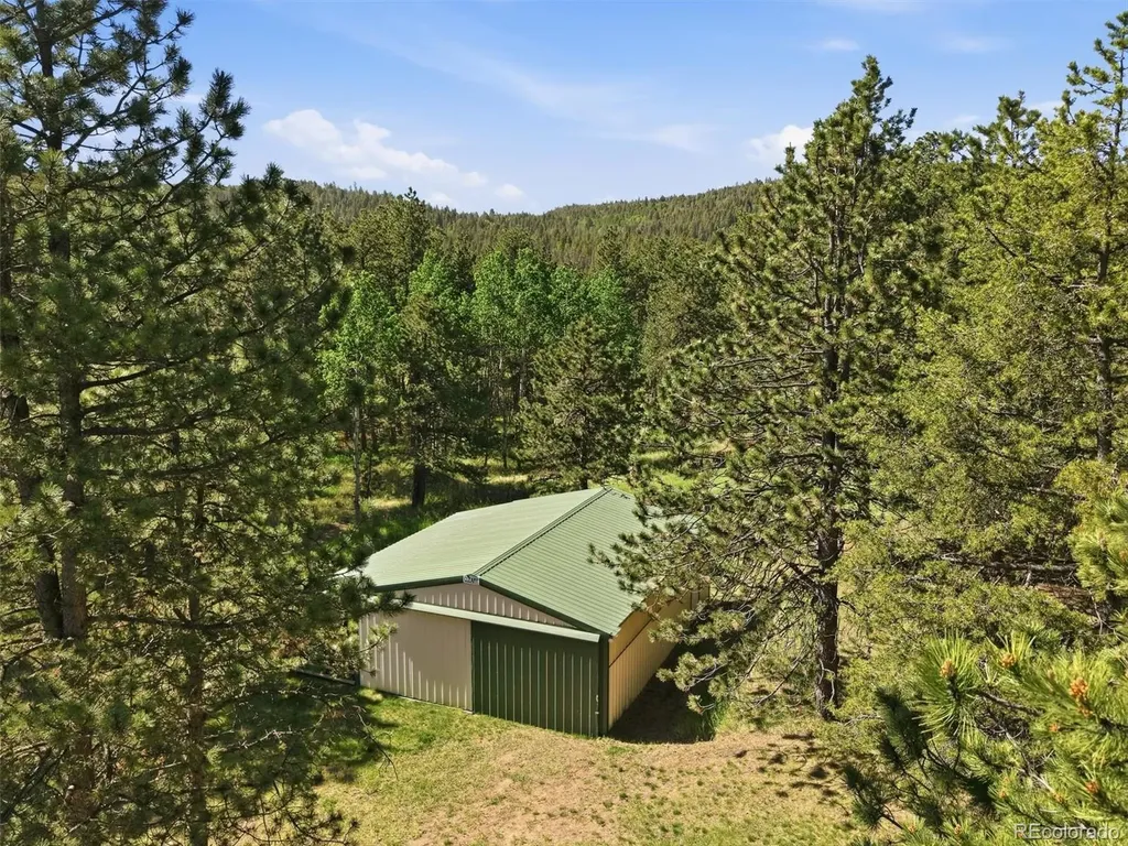 21466 Indian Springs Road Conifer CO 80433