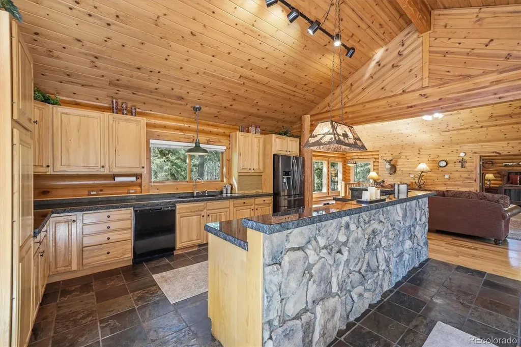 21466 Indian Springs Road Conifer CO 80433