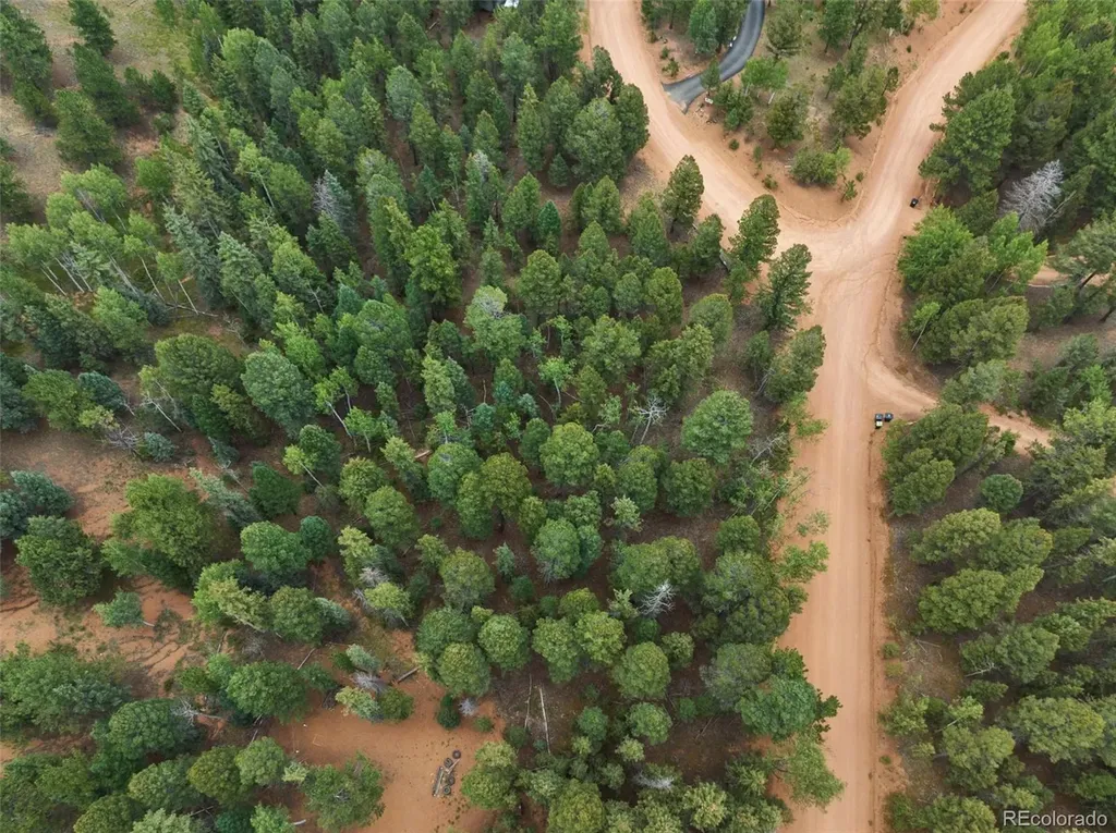 810 Ridge Road Divide CO 80814