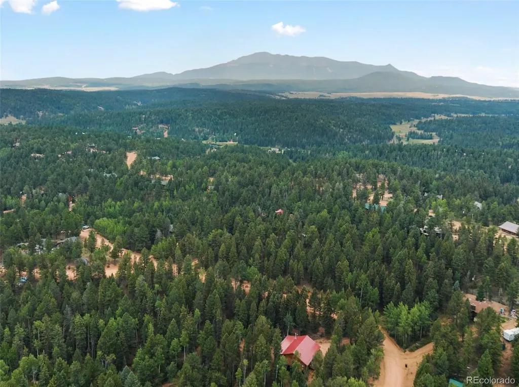 810 Ridge Road Divide CO 80814