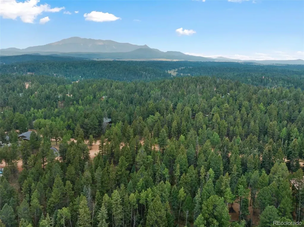 810 Ridge Road Divide CO 80814