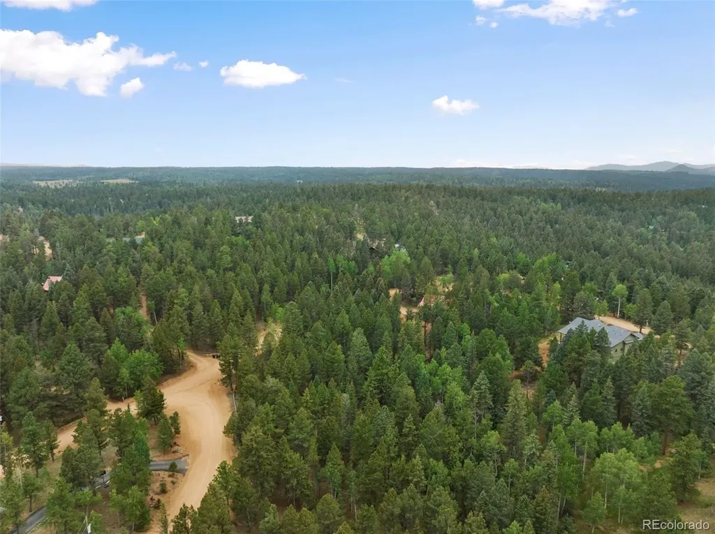 810 Ridge Road Divide CO 80814