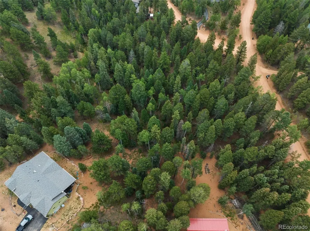 810 Ridge Road Divide CO 80814