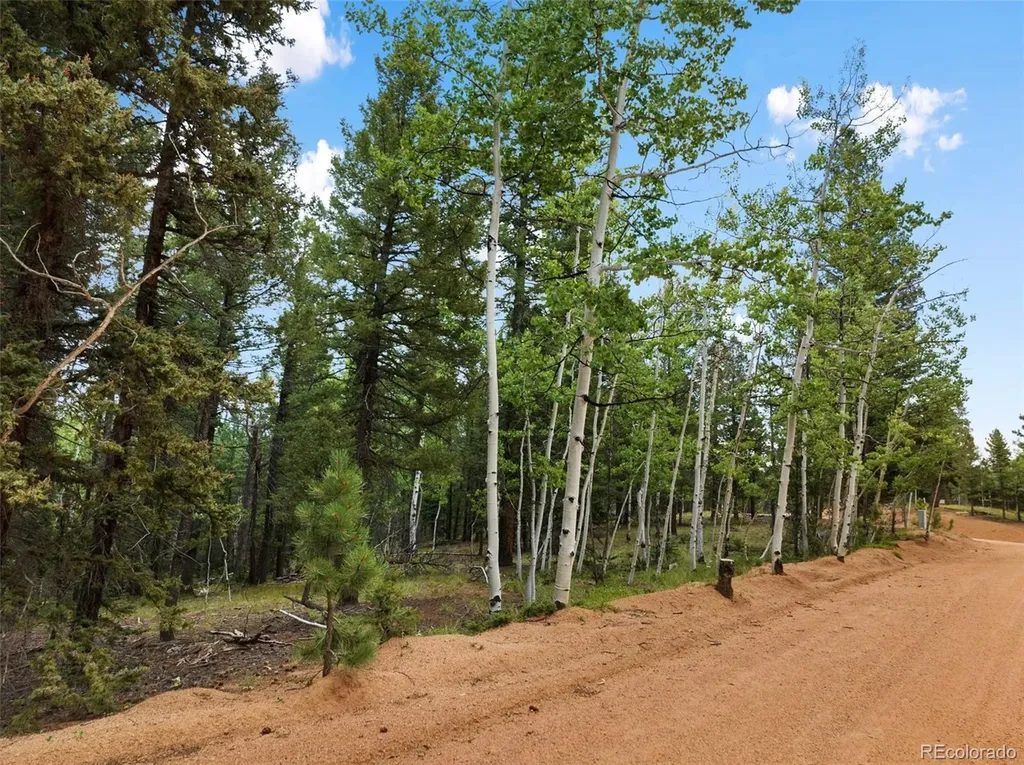 810 Ridge Road Divide CO 80814