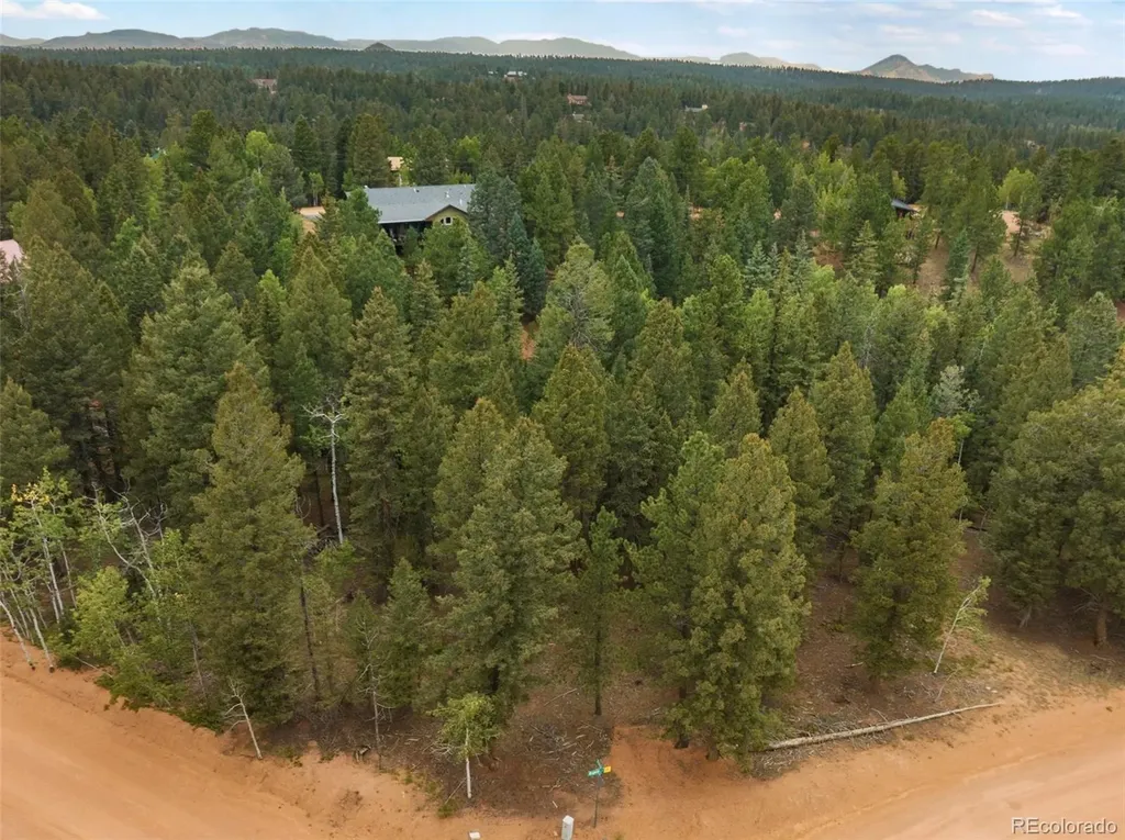 810 Ridge Road Divide CO 80814