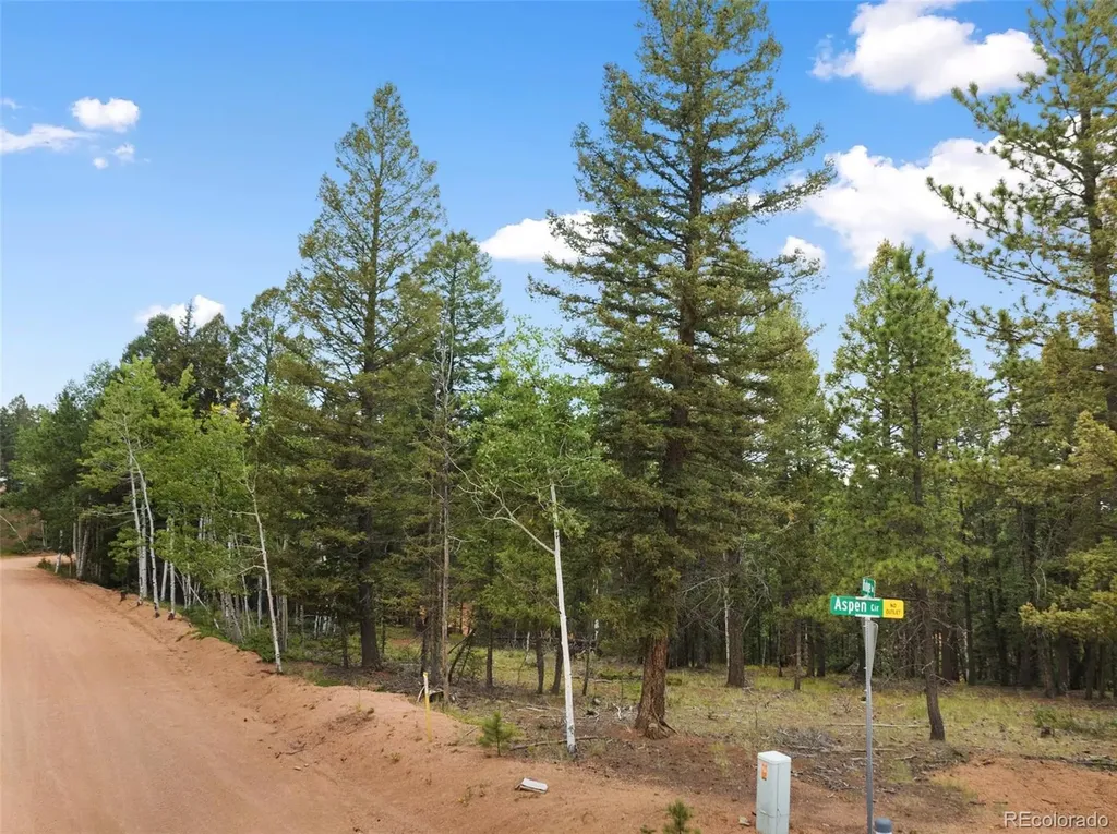 810 Ridge Road Divide CO 80814