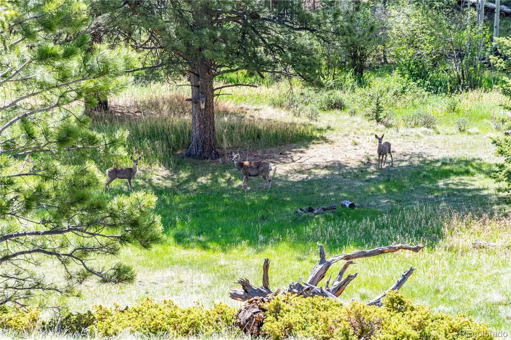 298 Steven Road Canon City CO 81212