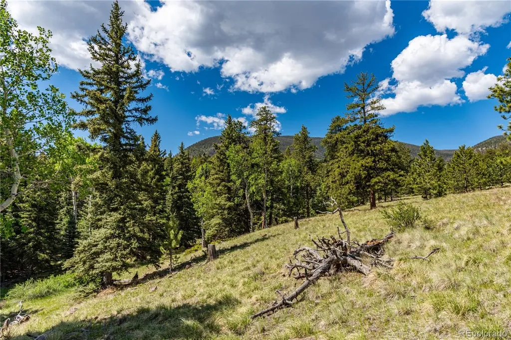 298 Steven Road Canon City CO 81212