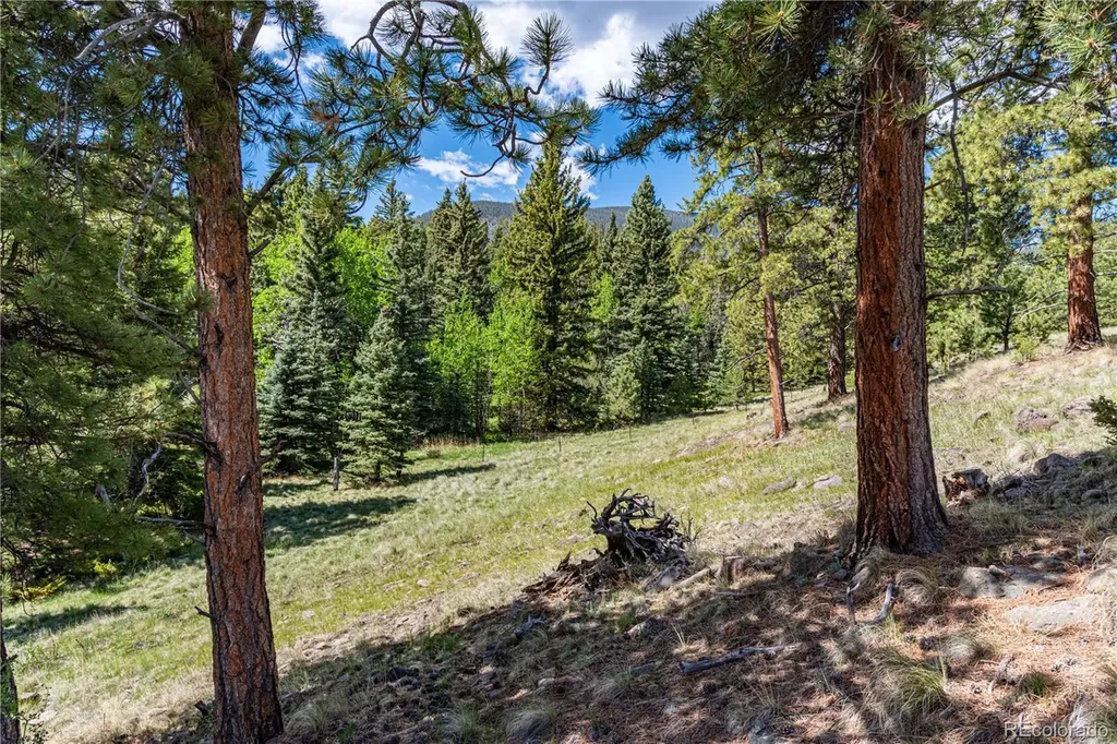 298 Steven Road Canon City CO 81212