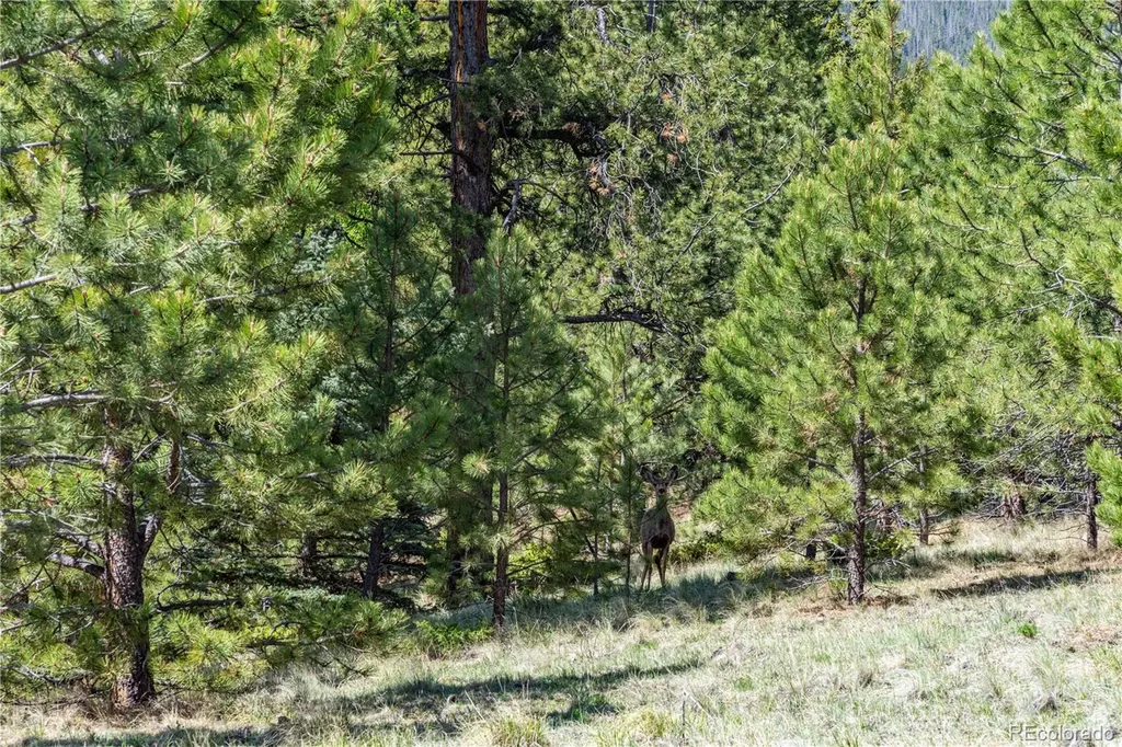 298 Steven Road Canon City CO 81212