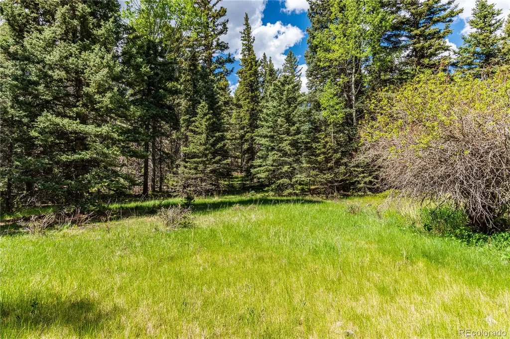 298 Steven Road Canon City CO 81212