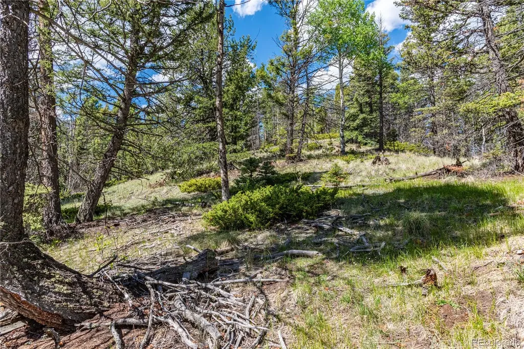 298 Steven Road Canon City CO 81212