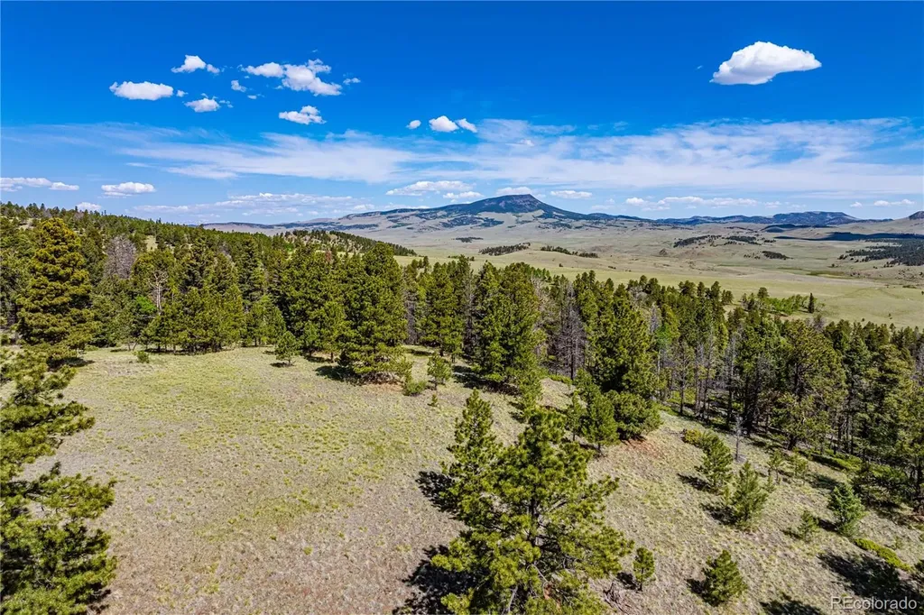 298 Steven Road Canon City CO 81212