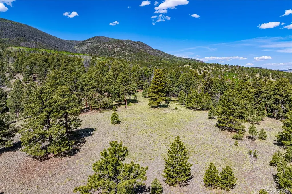 298 Steven Road Canon City CO 81212