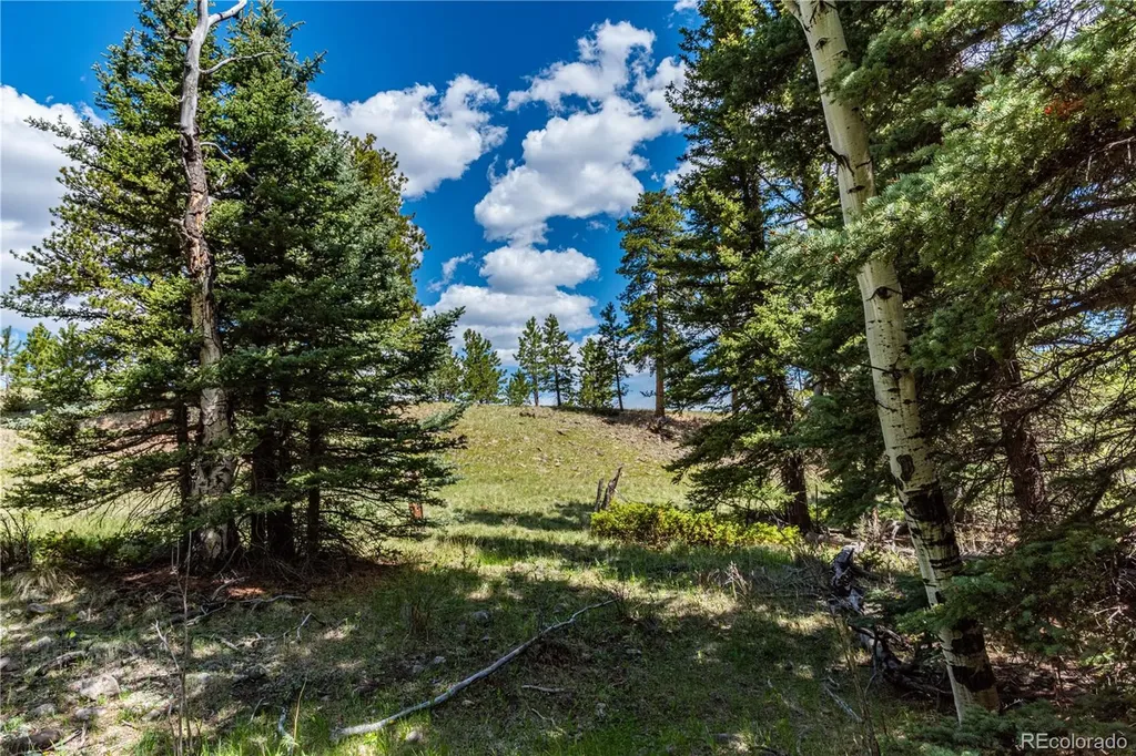 298 Steven Road Canon City CO 81212