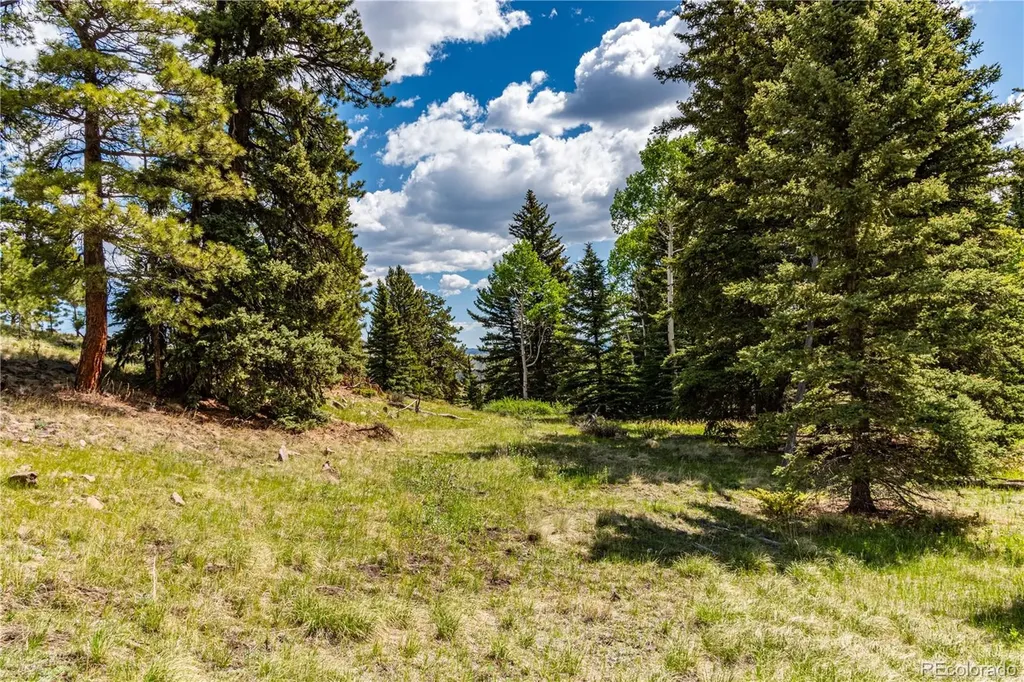 298 Steven Road Canon City CO 81212