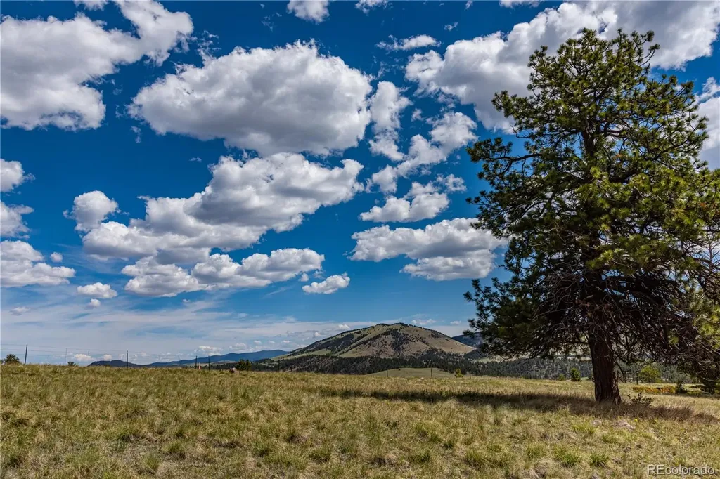 298 Steven Road Canon City CO 81212