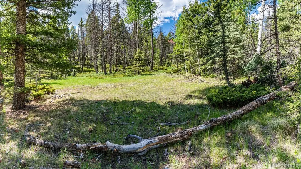 298 Steven Road Canon City CO 81212