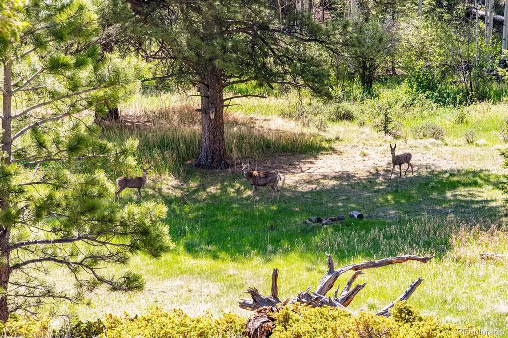 298 Steven Road Canon City CO 81212