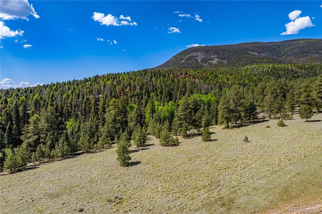 298 Steven Road Canon City CO 81212