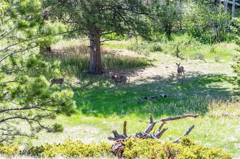 298 Steven Road Canon City CO 81212