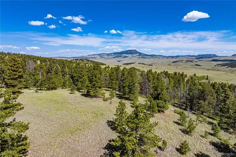 298 Steven Road Canon City CO 81212