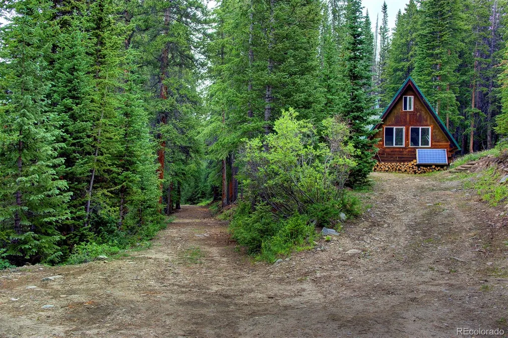 9562 Co Road 18 Fairplay CO 80440