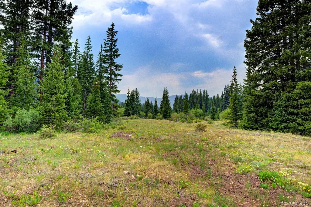 9562 Co Road 18 Fairplay CO 80440