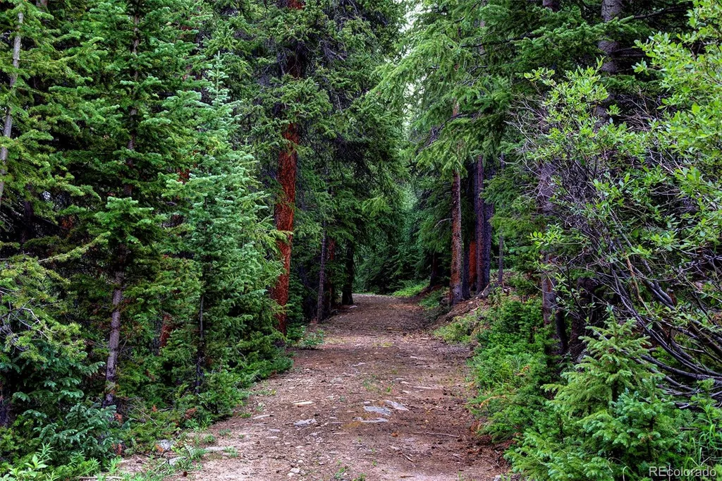 9562 Co Road 18 Fairplay CO 80440