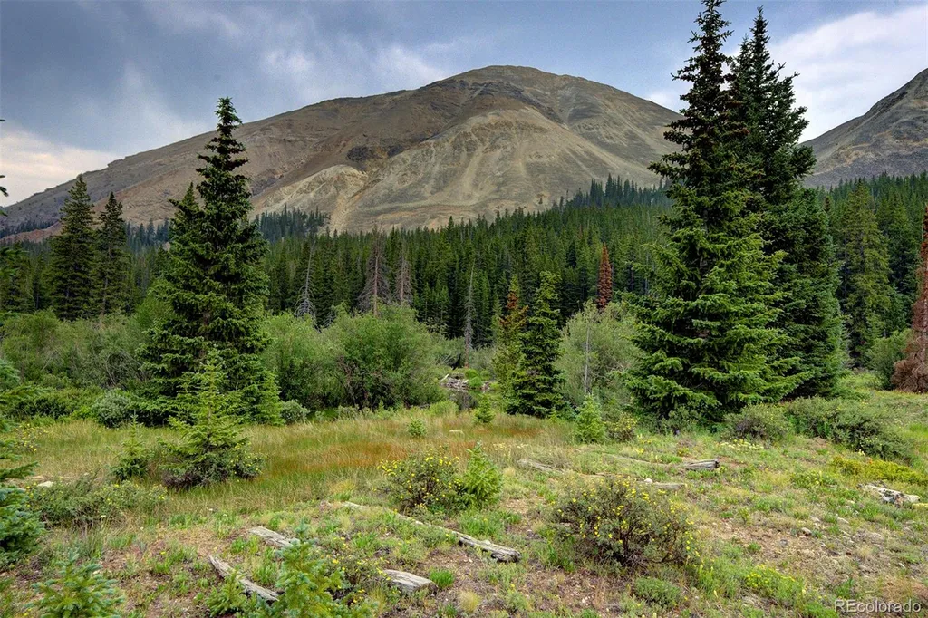 9562 Co Road 18 Fairplay CO 80440