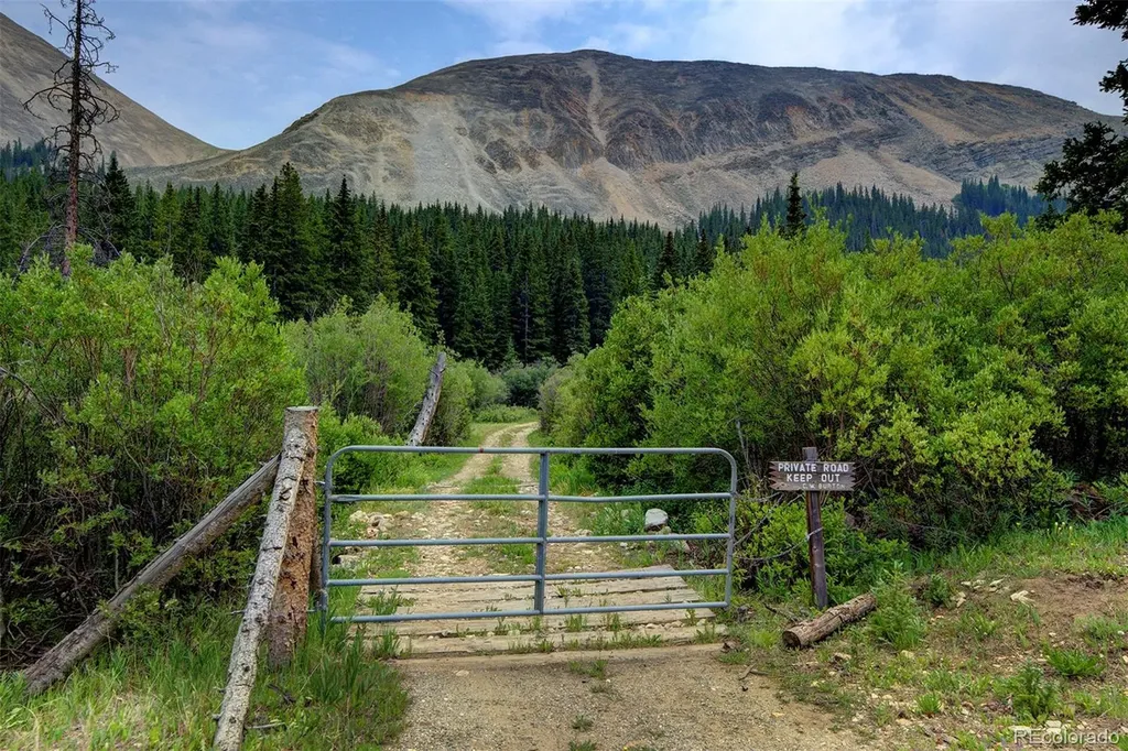 9562 Co Road 18 Fairplay CO 80440