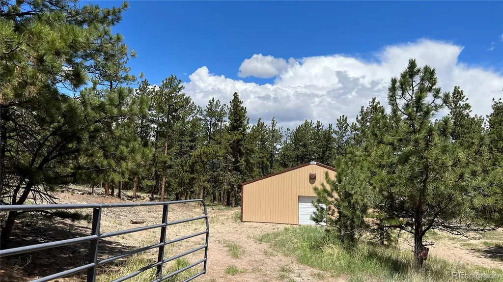 207 Little Bear Drive Westcliffe CO 81252