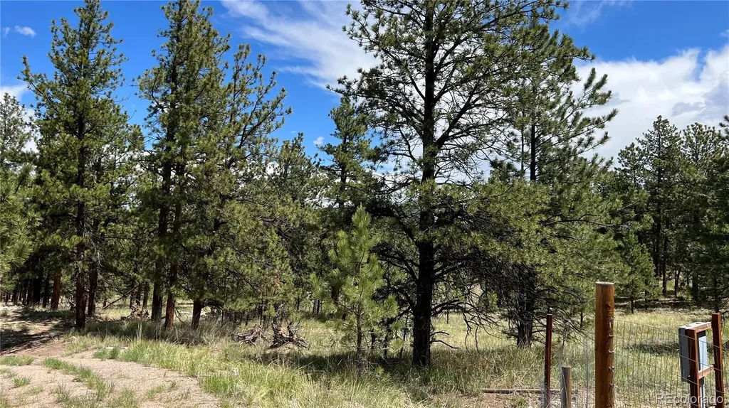 207 Little Bear Drive Westcliffe CO 81252