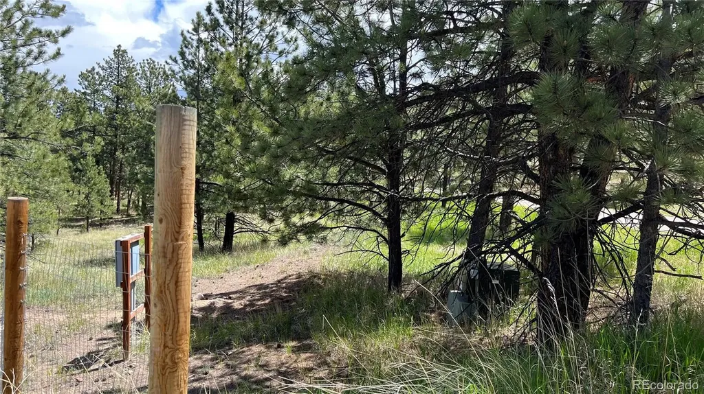 207 Little Bear Drive Westcliffe CO 81252